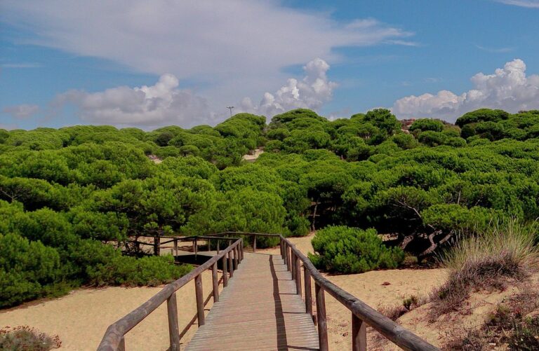 Punta Umbría en septiembre